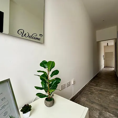 Entire 1 Bedroom Penthouse *
